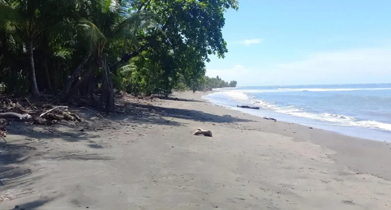 Terreno en Venta en Puerto Armuelles Chiriqui Panamá | $1,300,000 | MLS# 25338