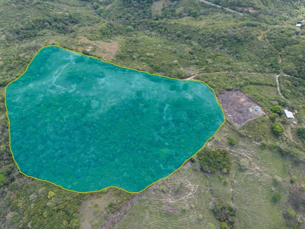 Terreno en Venta en La Pintada Coclé Panamá | $200,000 | MLS# 25349