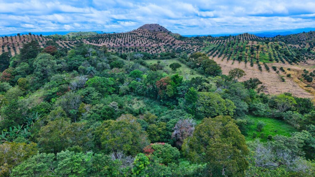Finca en Venta en Volcán Chiriqui Panamá | $689,000 | MLS# 25350