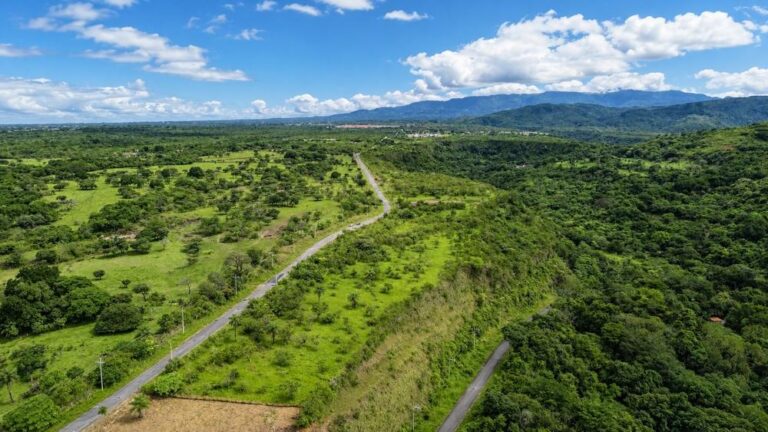 Terreno en Venta en Caldera Chiriqui Panamá | $99,000 | MLS# 25369