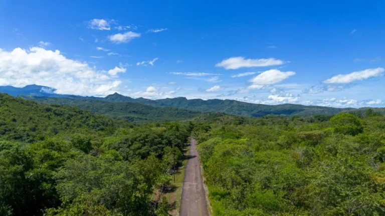 Terreno en Venta en Caldera Chiriqui Panamá | $295,000 | MLS# 25387