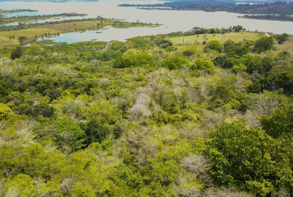 Terreno en Venta en Mendoza Panamá Oeste Panamá | $175,000 | MLS# 25460