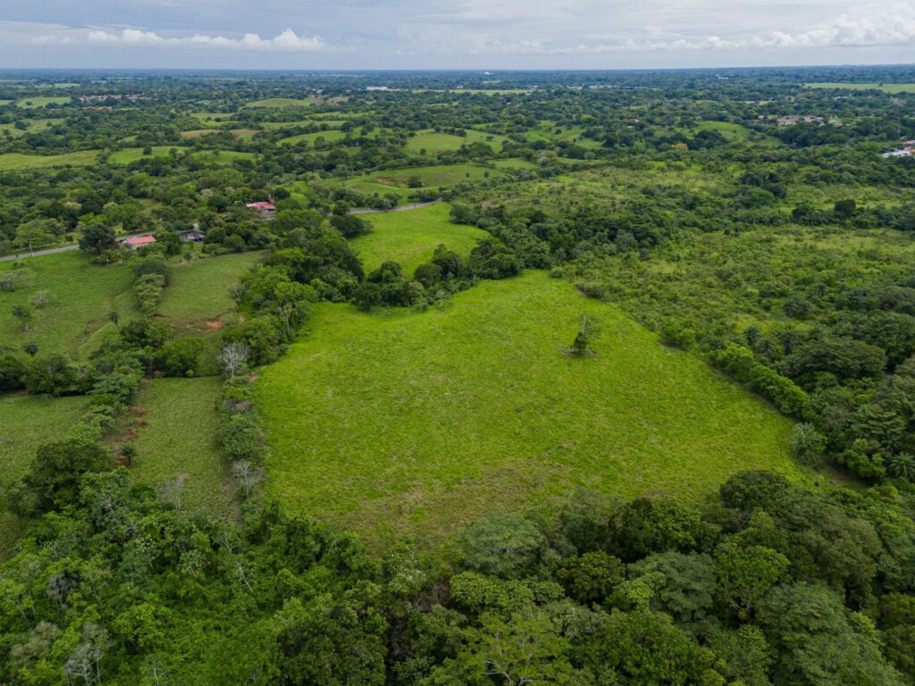 Finca en Venta en San Pablo Viejo Chiriqui Panamá | $830,028 | MLS# 25462