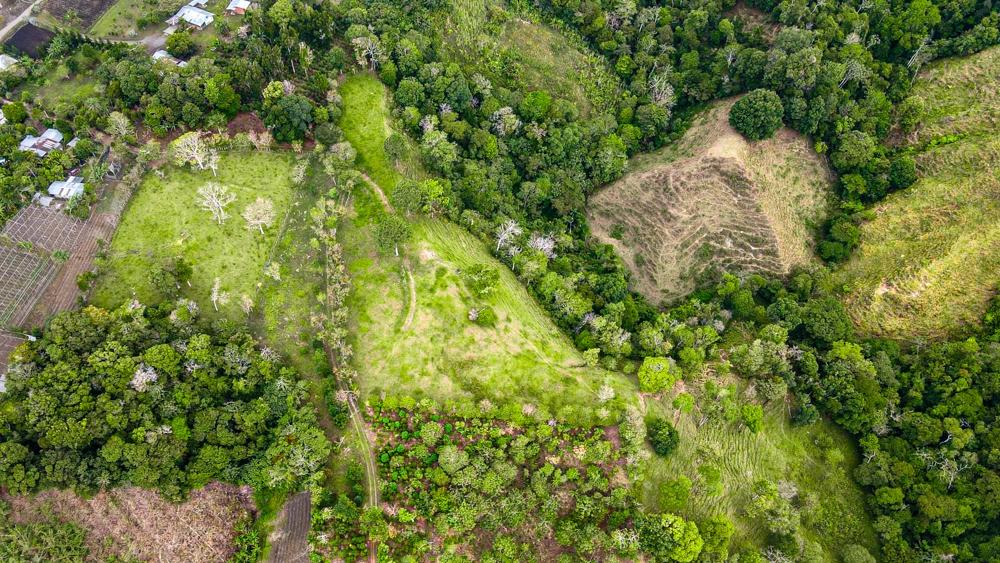 Finca en Venta en Potrerillos Chiriqui Panamá | $2,100,000 | MLS# 25467