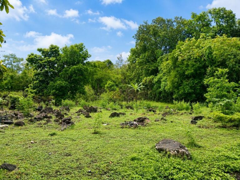 Terreno en Venta en Alto Boquete Chiriqui Panamá | $115,219 | MLS# 25469