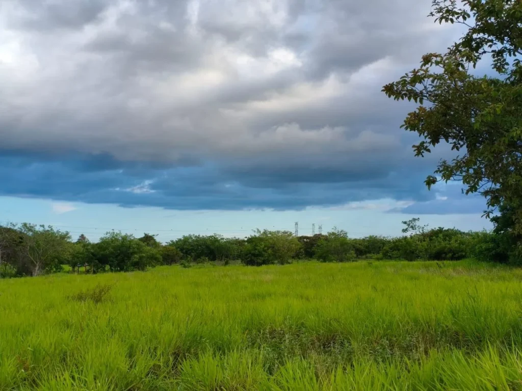 Terreno en Venta en El Retiro Coclé Panamá | $465,000 | MLS# 25497