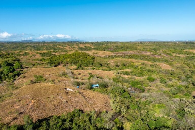Terreno en Venta en El Higo Panamá Oeste Panamá | $739,000 | MLS# 25505