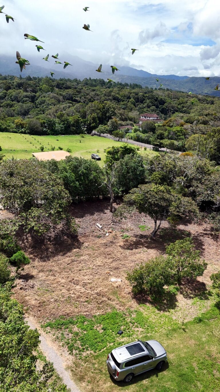 Terreno en Venta en Palmira Chiriqui Panamá | $75,000 | MLS# 25509