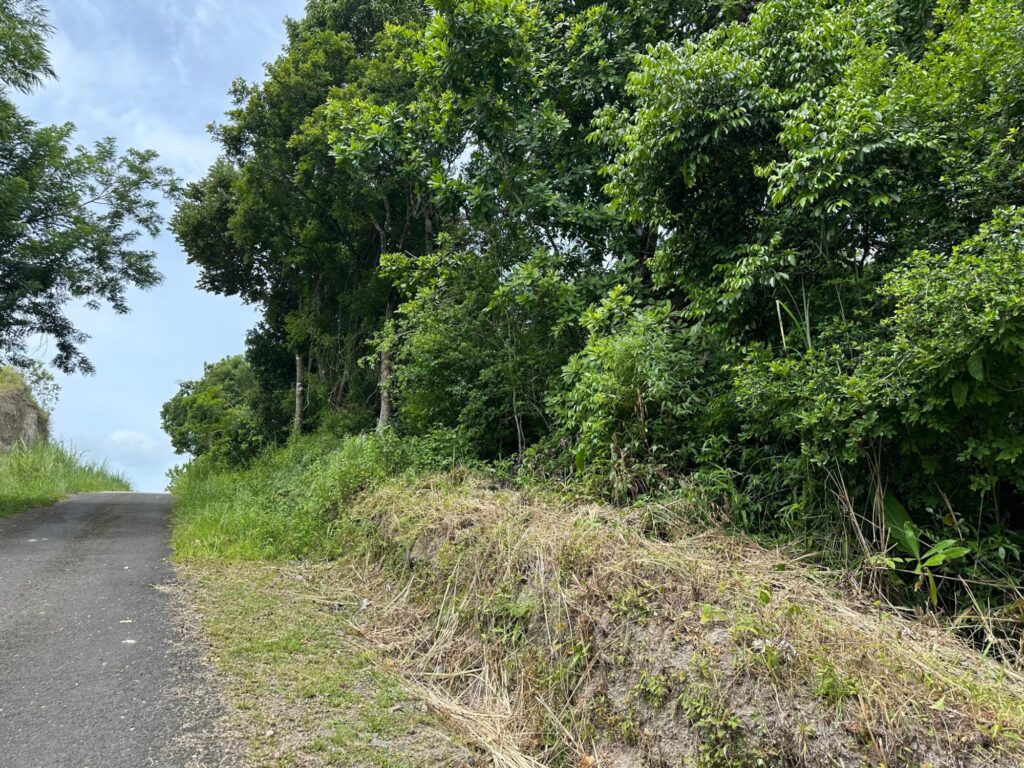 Terreno en Venta en Los Llanitos Panamá Oeste Panamá | $25,000 | MLS# 25511