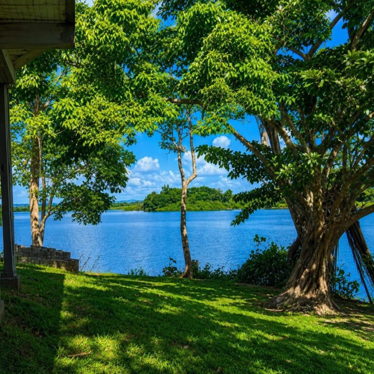 Terreno en Venta en Amador Panamá Oeste Panamá | $950,000 | MLS# 25513