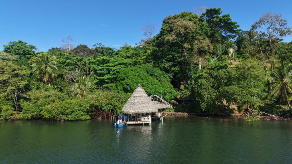 Finca en Venta en Tierra Oscura Bocas del Toro Panamá | $800,000 | MLS# 25531