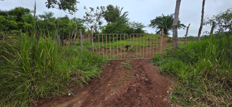 Finca en Venta en Herrera Panamá Oeste Panamá | $950,000 | MLS# 25537