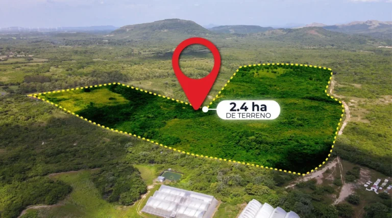 Terreno en Venta en Cañaveral Coclé Panamá | $900,000 | MLS# 25556