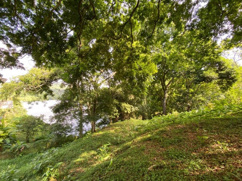 Terreno en Venta en Las Cumbres Panamá Panamá | $148,000 | MLS# 25626