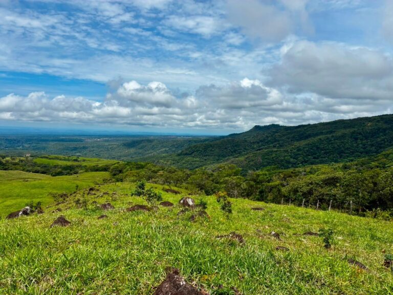 Finca en Venta en Jaramillo Chiriqui Panamá | $1,332,000 | MLS# 25653