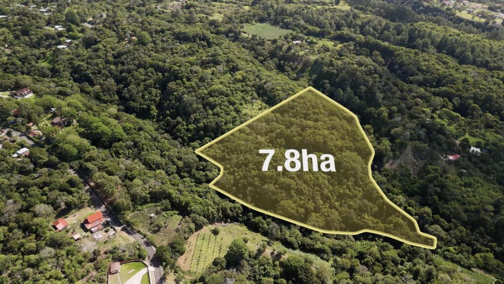 Finca en Venta en Palmira Chiriqui Panamá | $4,730,000 | MLS# 25668