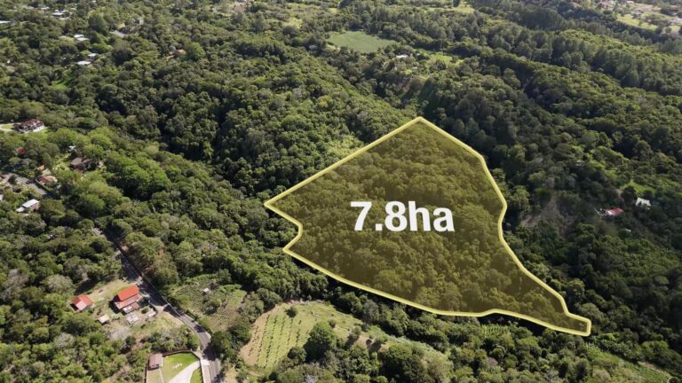 Finca en Venta en Palmira Chiriqui Panamá | $4,730,000 | MLS# 25668