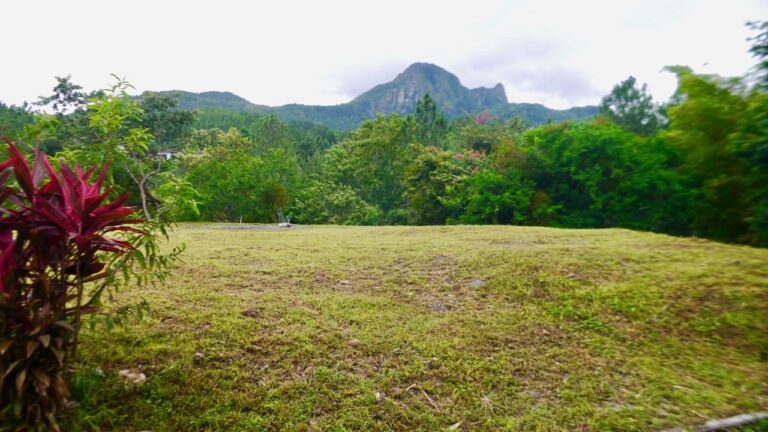 Casa en Venta en La Laguna Panamá Oeste Panamá | $275,000 | MLS# 25699