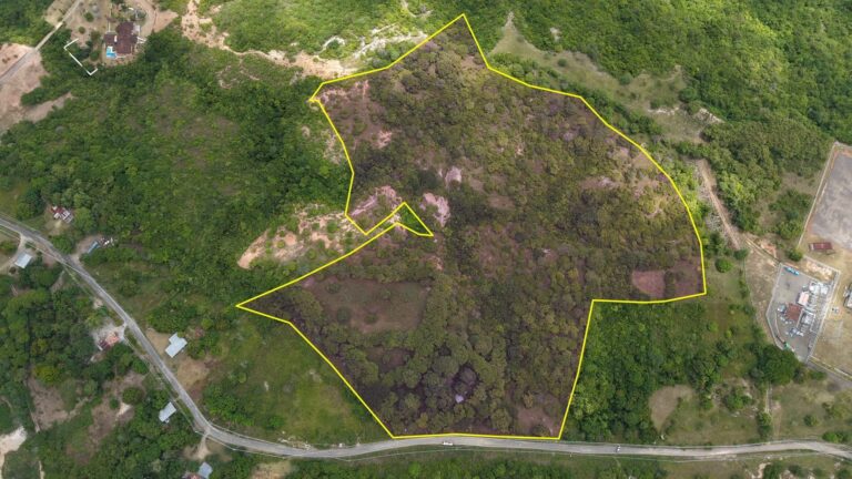 Terreno en Venta en El Higo Panamá Oeste Panamá | $299,900 | MLS# 25738