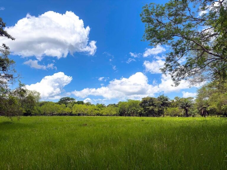 Terreno en Venta en Guacá Chiriqui Panamá | $149,000 | MLS# 25787