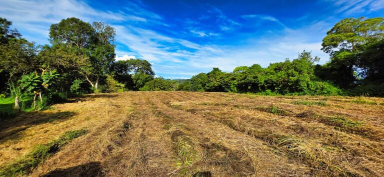 Terreno en Venta en Volcán Chiriqui Panamá | $160,000 | MLS# 25845