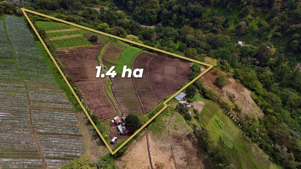 Terreno en Venta en Los Naranjos Chiriqui Panamá | $259,000 | MLS# 25873