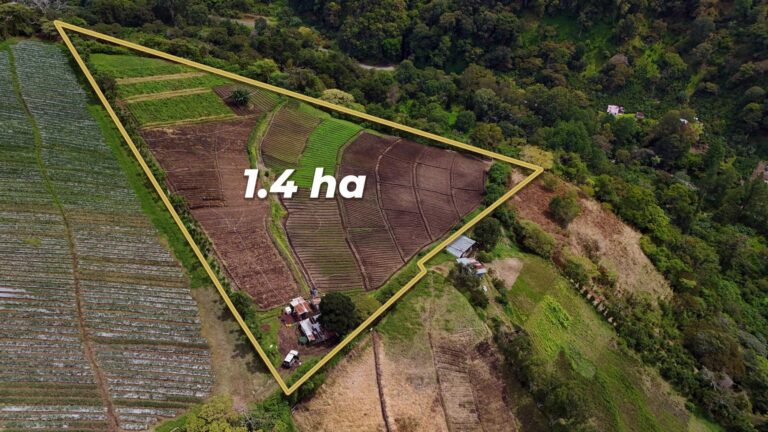 Terreno en Venta en Los Naranjos Chiriqui Panamá | $259,000 | MLS# 25873