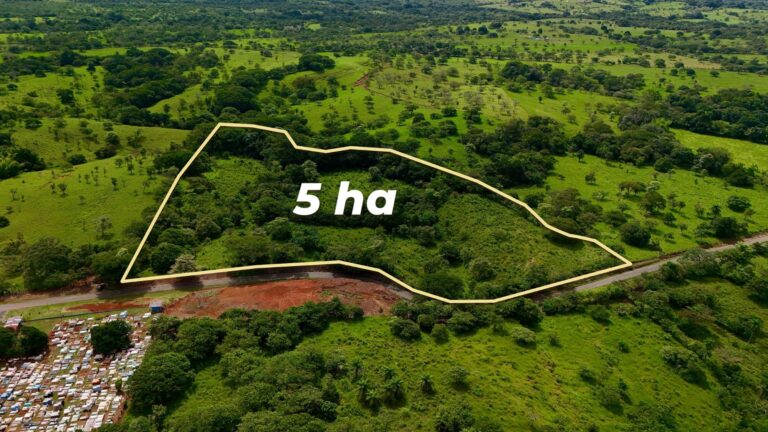 Finca en Venta en Cochea Chiriqui Panamá | $224,000 | MLS# 25877