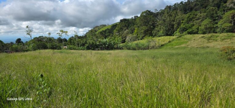 Terreno en Venta en Rovira Chiriqui Panamá | $150,971 | MLS# 25905