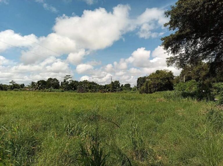 Terreno en Venta en San Pablo Viejo Chiriqui Panamá | $189,000 | MLS# 25925