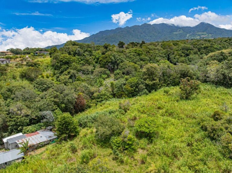 Terreno en Venta en Palmira Chiriqui Panamá | $337,680 | MLS# 25934